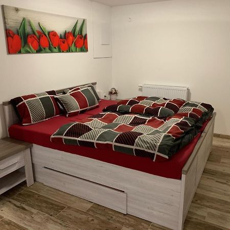 Apartman 206 Spicak Leilighet Železná Ruda Eksteriør bilde